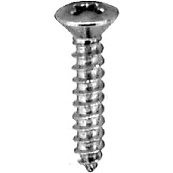 X 3/4" Oval Head Tapping Screws Chrome