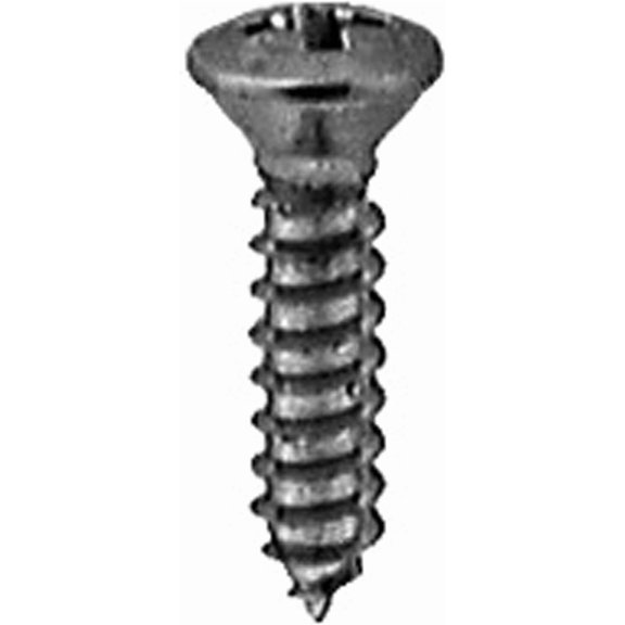 X 3/4" Oval Head Tapping Screws Chrome