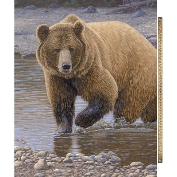 X 44" Panel Large Brown Bear Wildlife Shore Patrol Panel Cotton Fabric Panel (AL-4338-2C)