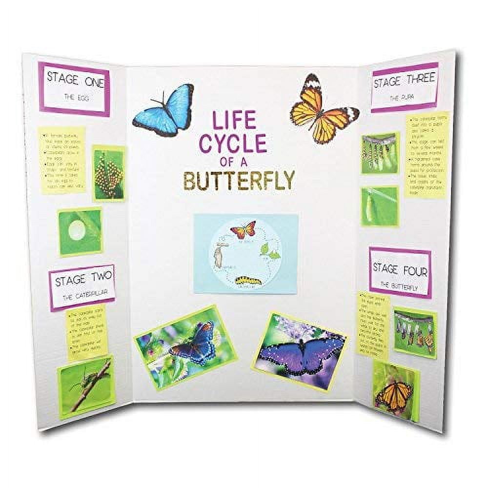 X 48” Project Boards For Presentations, Science Fair, School Projects