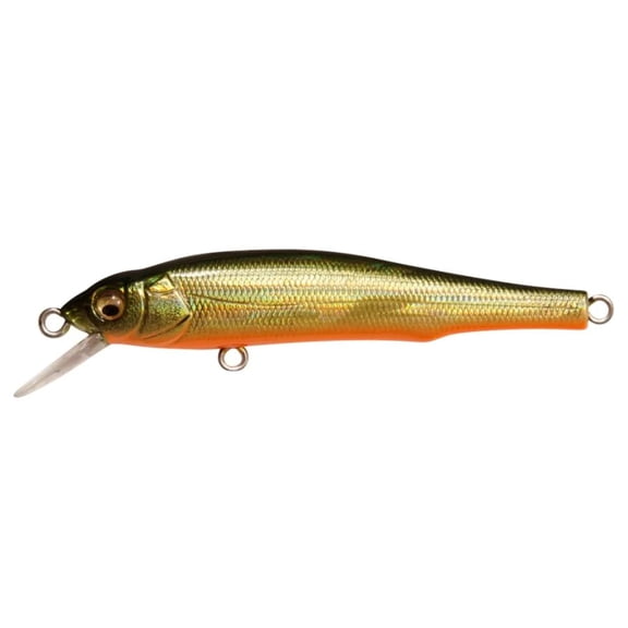 X-70 BFS Moss Back Golden Shiner