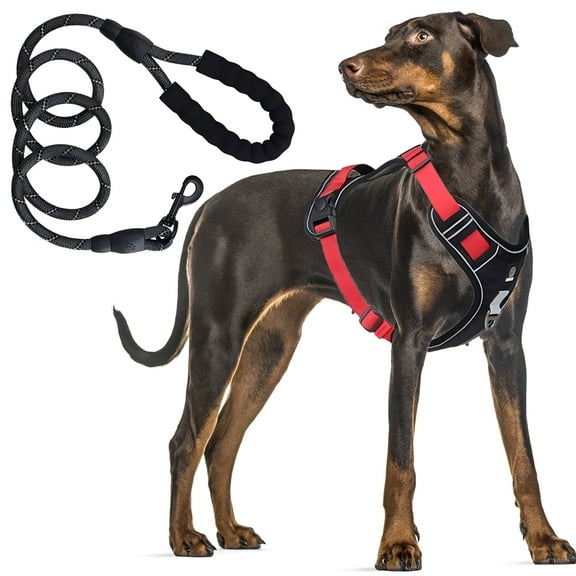 GOUWAN Dog Harness and Leash, Adjustable Padded Vest with Easy Control Handle, Reflective Strips with Leash for Large Dogs, Red, L