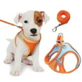 thumbnail image 1 of GOUWAN Dog Harness and Leash, Puppy Harness for Small Dogs Cats, No Pull Pet Harness with Reflective Strips, M, 1 of 8