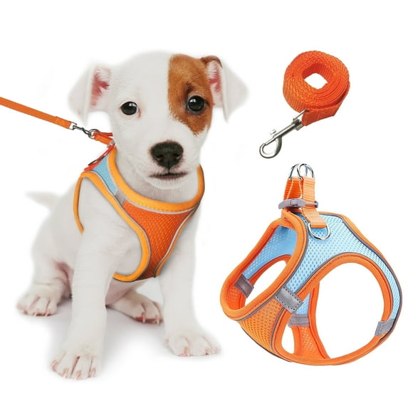 GOUWAN Dog Harness and Leash, Puppy Harness for Small Dogs Cats, No Pull Pet Harness with Reflective Strips, M