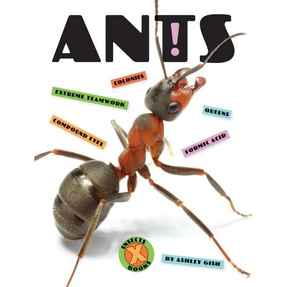 X-Books: Insects: Ants (Paperback)