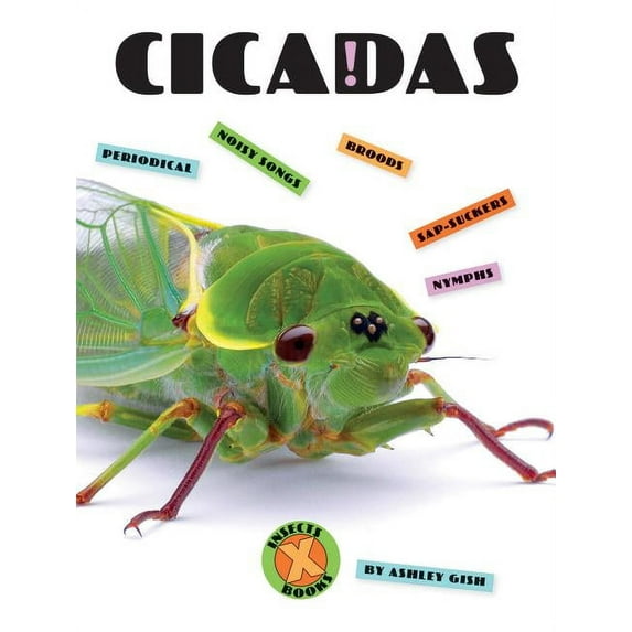 X-Books: Insects Cicadas, (Paperback)