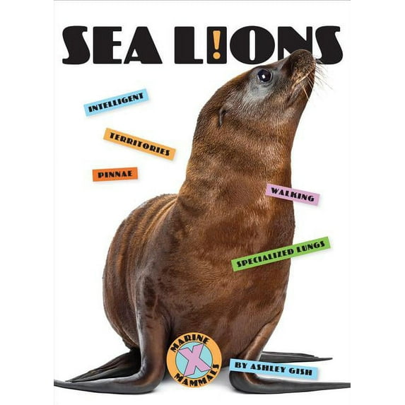 X-Books: Marine Mammals: Sea Lions (Paperback)