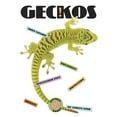 thumbnail image 1 of X-Books: Reptiles: Geckos (Paperback), 1 of 1