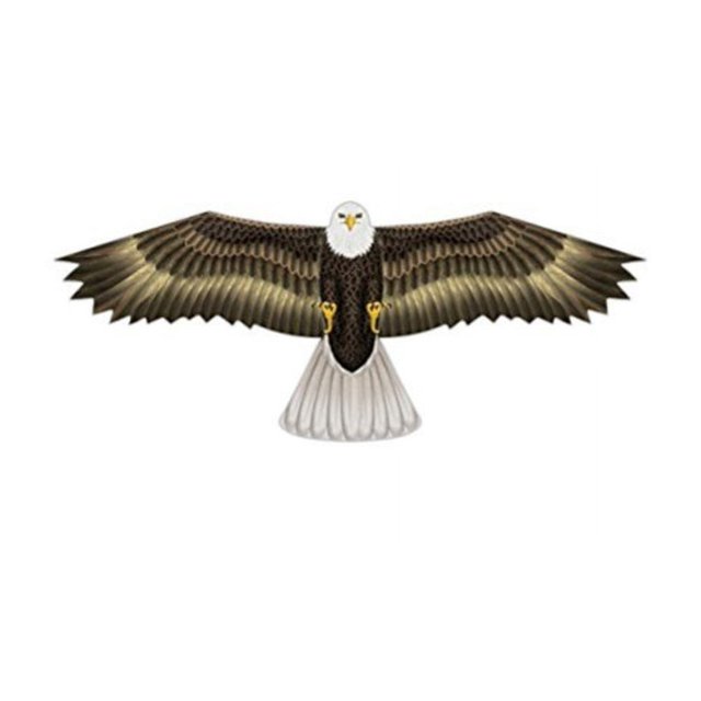 XKites 70" Eagle Kite