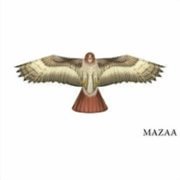 X-Kites Birds of Prey Kite 48- Hawk