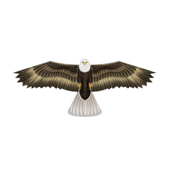 X Kites Birds of Prey Nylon Eagle Kite-48 Inch Wingspan