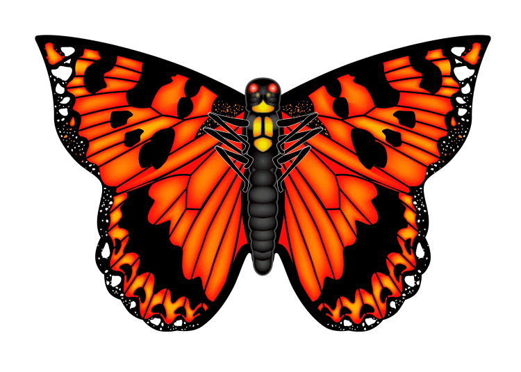 X Kites Poly Butterfly Kite Orange