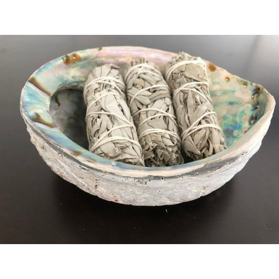 X-LARGE ABALONE Shell White SAGE Smudge Kit Spiritual Cleansing