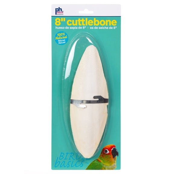 Prevue Pet Products 8-inch Cuttlebone / 1pc 1159