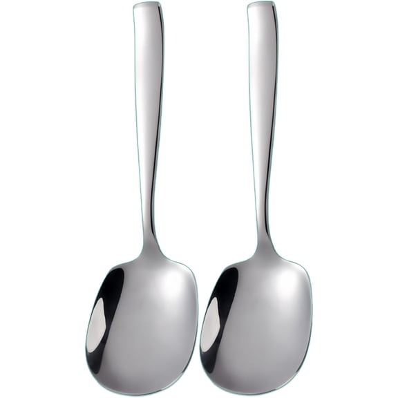 X-Large Buffet Serving Spoon,316L Stainless Steel Heavy duty Serving Spoon,Dishwasher Safe 9.5 inches 2Pack