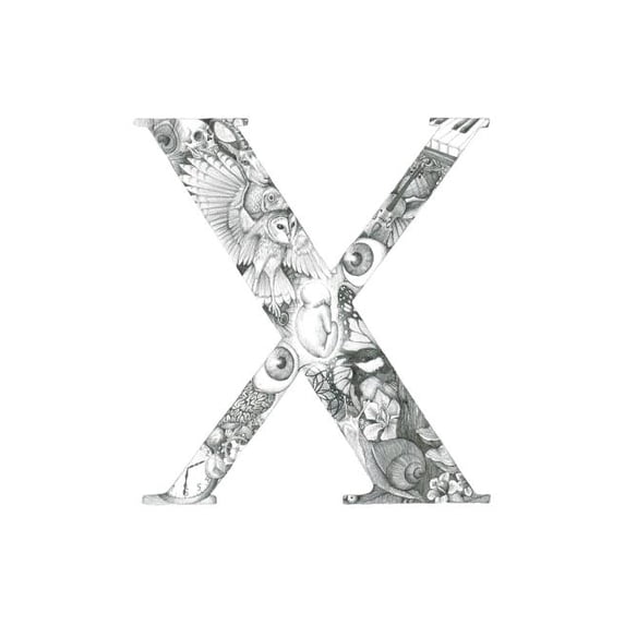 X, (Paperback)