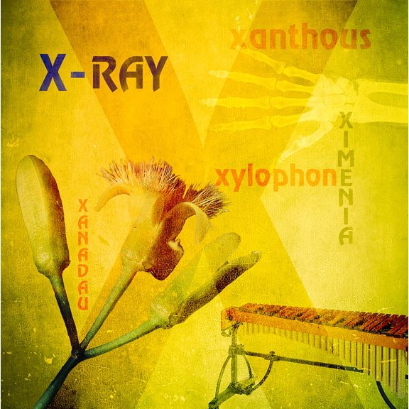 X Poster Print - P. H. Photography (12 x 12)