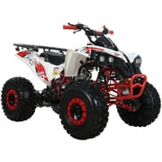 X-Pro Brand New 125cc Gas ATV, Automatic Transmission w/Reverse Electric Start Big 19"/18" Tires