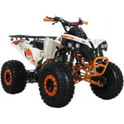 X-Pro Brand New 125cc Gas ATV, Automatic Transmission w/Reverse Electric Start Big 19"/18" Tires