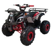 X-Pro Brand New 125cc Gas ATV, Automatic Transmission w/Reverse Remote Control Off-road Big 19"/18" Tires