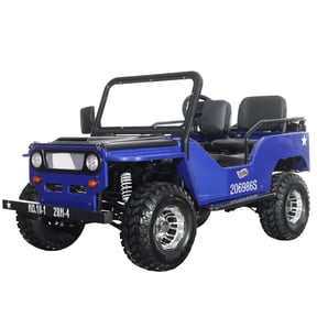 X-Pro E-Ranger 3000W Electric Go Kart for Youth, Brushless Motor, Off-Road Buggy with Reverse and Aluminum Wheels!
