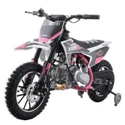 X-Pro Hawk 60 Dirt Bike with CVT Transmission, Electric Start, Disc Brake! 10" Wheels!