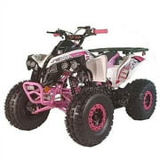 X-Pro Brand New 125cc Gas ATV, Automatic Transmission w/Reverse Electric Start Big 19/18 Tires