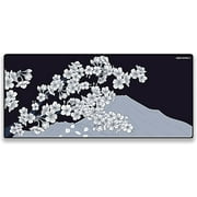 X-Raypad Aqua Control 2 Gaming Mouse Pad, Ultra-High Precision Mouse Pad with Perfect Speed and Control Capability, Consistent X and Y Glide, Designed for Fps Players with Low DPI Requirements