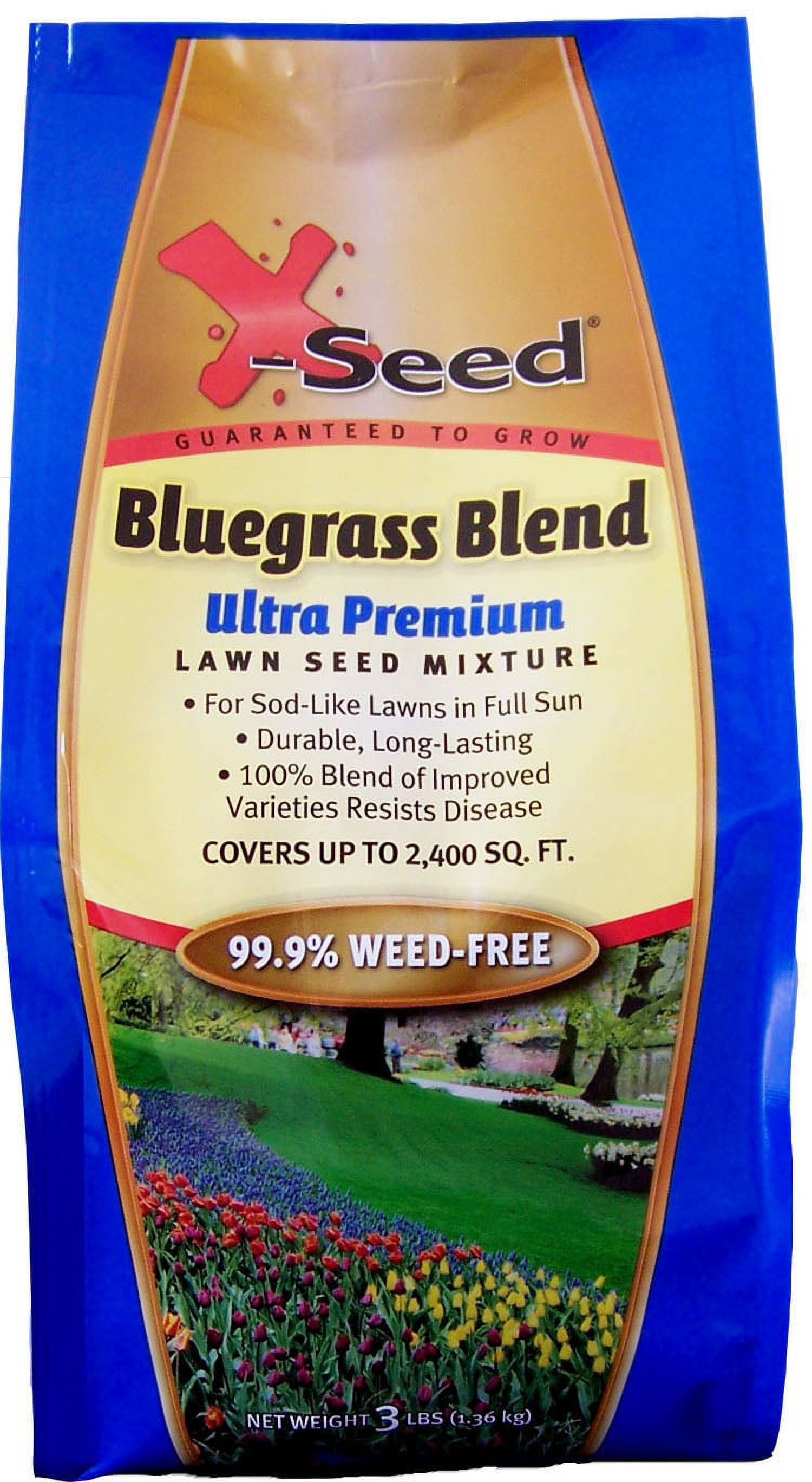 XSeed 440AS0102UC3 3 Lb Ultra Premium Bluegrass Blend Lawn Seed