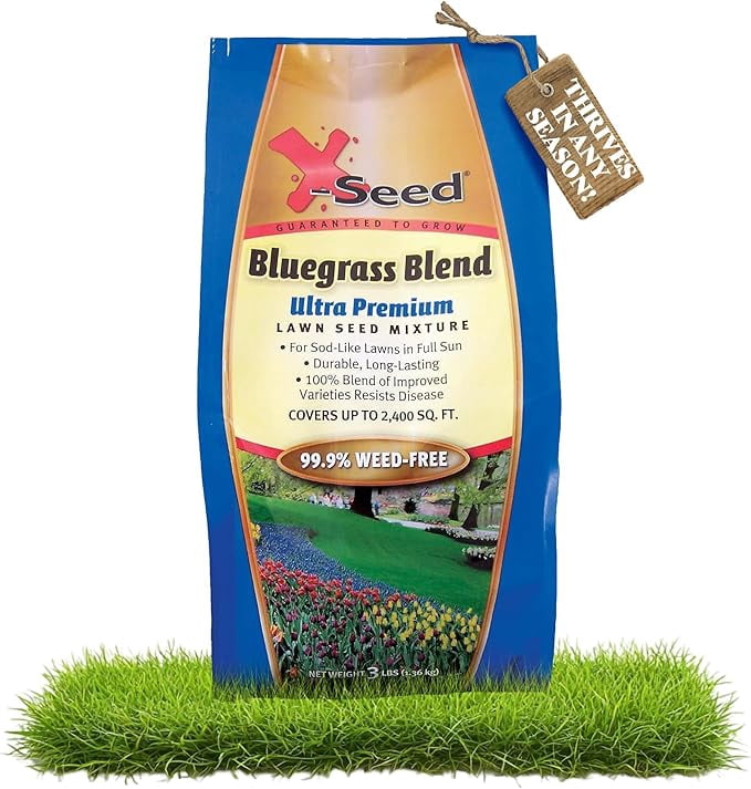 X-Seed Bluegrass Lawn Seed Blend with 4Most Seed Enhancement by DLF - Fast-Growing, Drought-Tolerant,Cool-Season Grass Seed for Thick, Green Lawns, 3 lbs.Covers up to 4,900 sq. feet, 99.9% Weed Free