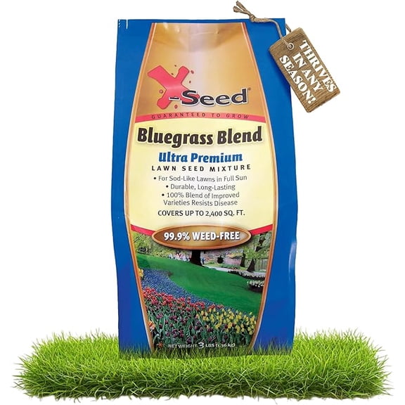 X-Seed Bluegrass Lawn Seed Blend with 4Most Seed Enhancement by DLF - Fast-Growing, Drought-Tolerant,Cool-Season Grass Seed for Thick, Green Lawns, 3 lbs.Covers up to 4,900 sq. feet, 99.9% Weed Free