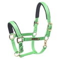 thumbnail image 1 of X-Small HILASON Western Horse Top Grade Nylon Comfortable & Flexible Halter, 1 of 3