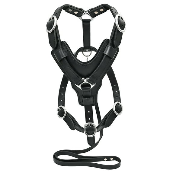 X Small Leather Dog Harness Black Padded Genuine Matching Leash Hilason