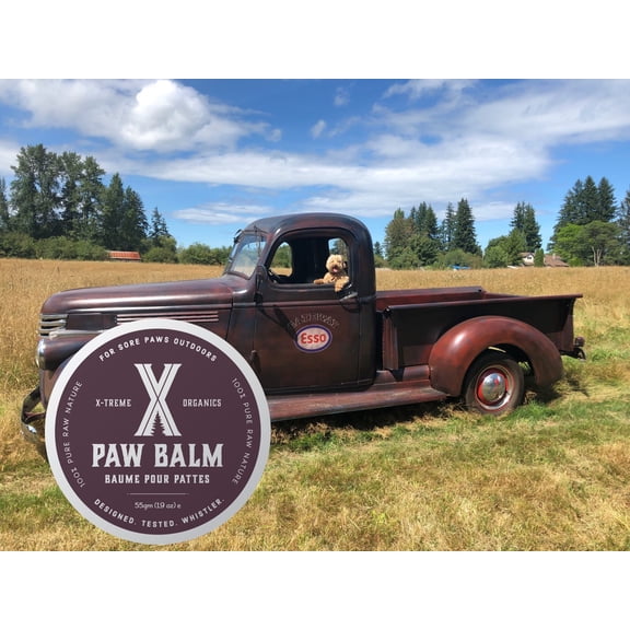 X-TREME ORGANICS PAW BALM - MEDIUM