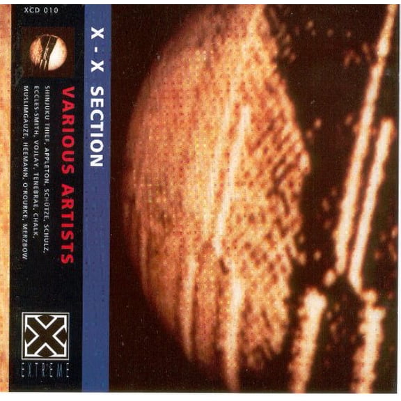 X X Section (Audiobook)
