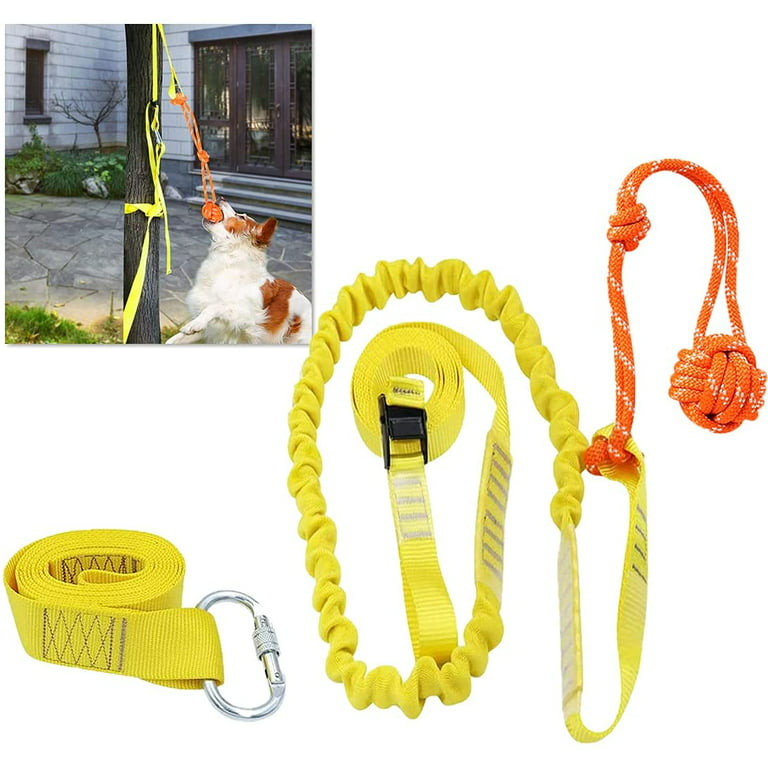 Dog Tug Toy, Outdoor Hanging Bungee Dog Toy, Interactive Dog Tree Toy for  Tug of War, Bite Training, Pull Exercise, Puppy Interactive Bite Training