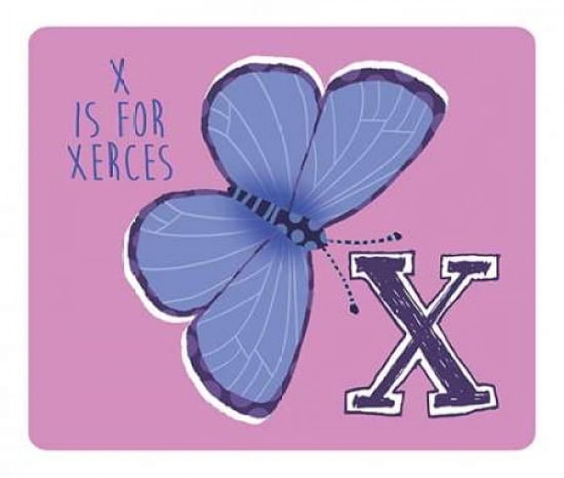 X is For Xerces Canvas Art - Stephanie Marrott (24 x 24)