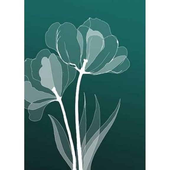 X-ray Flowers Poster Print by GraphINC (10 x 14)