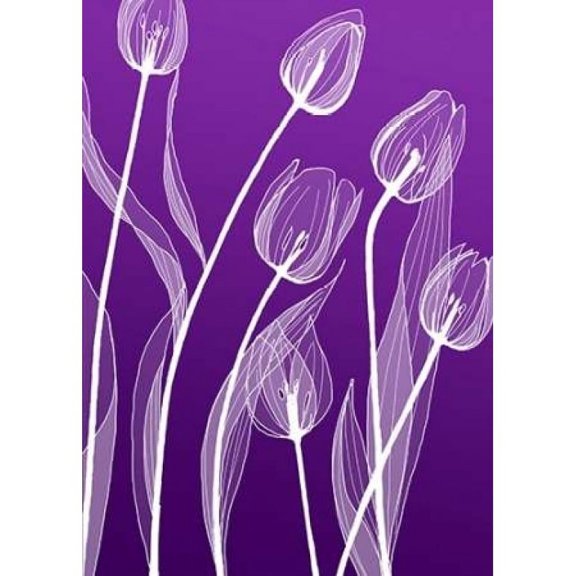X-ray Flowers Poster Print by GraphINC (10 x 14)