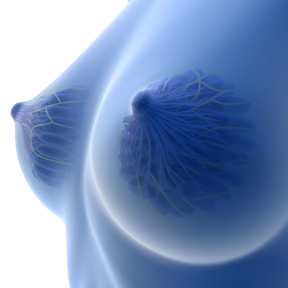 X-ray Image of female breast anatomy Canvas Art - Stocktrek Images (29 x 29)