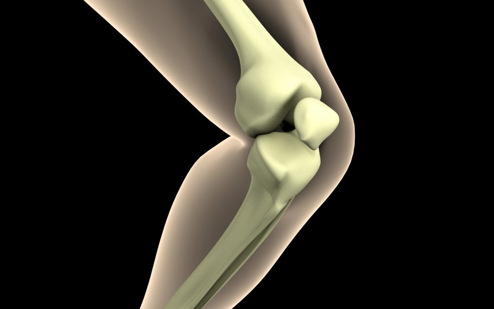 X-ray image of knee Canvas Art - Stocktrek Images (18 x 12)