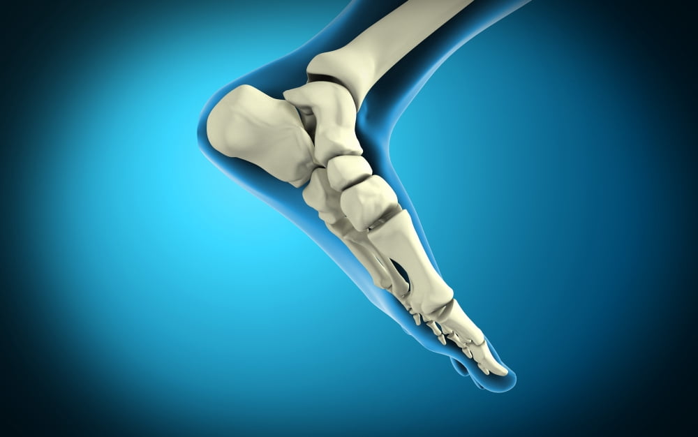 X-ray view of bones in human foot Canvas Art - Stocktrek Images (18 x 12)