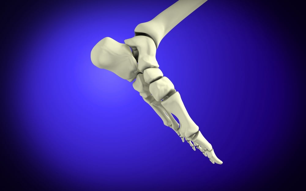 X-ray view of human foot Canvas Art - Stocktrek Images (18 x 12)