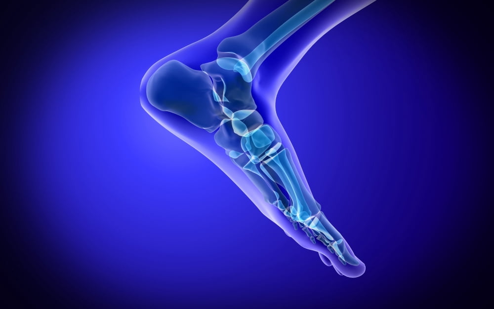X-ray view of human foot Canvas Art - Stocktrek Images (18 x 12)