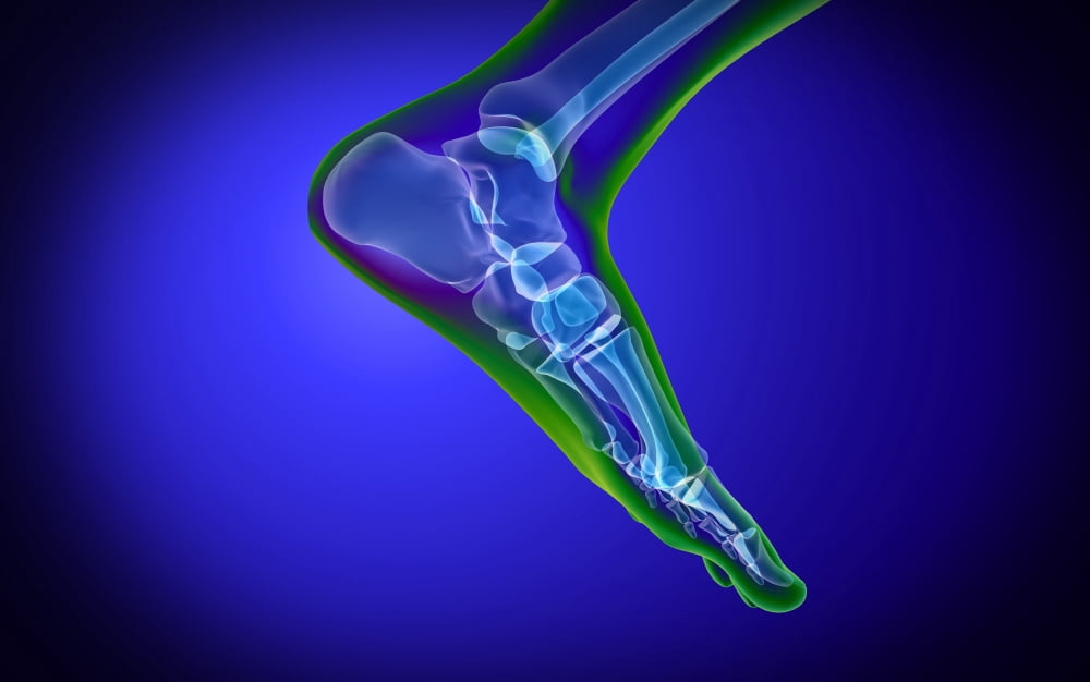 X-ray view of human foot Canvas Art - Stocktrek Images (18 x 12)