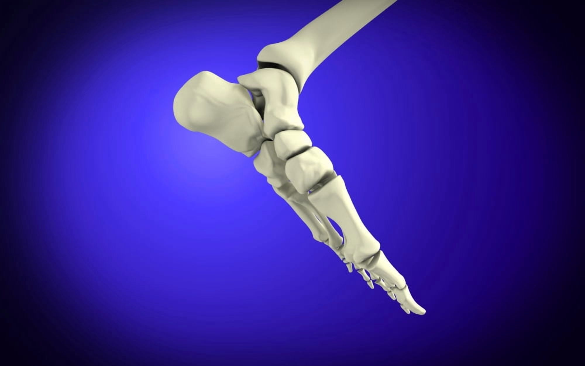 X-ray view of human foot Canvas Art - Stocktrek Images (36 x 23)