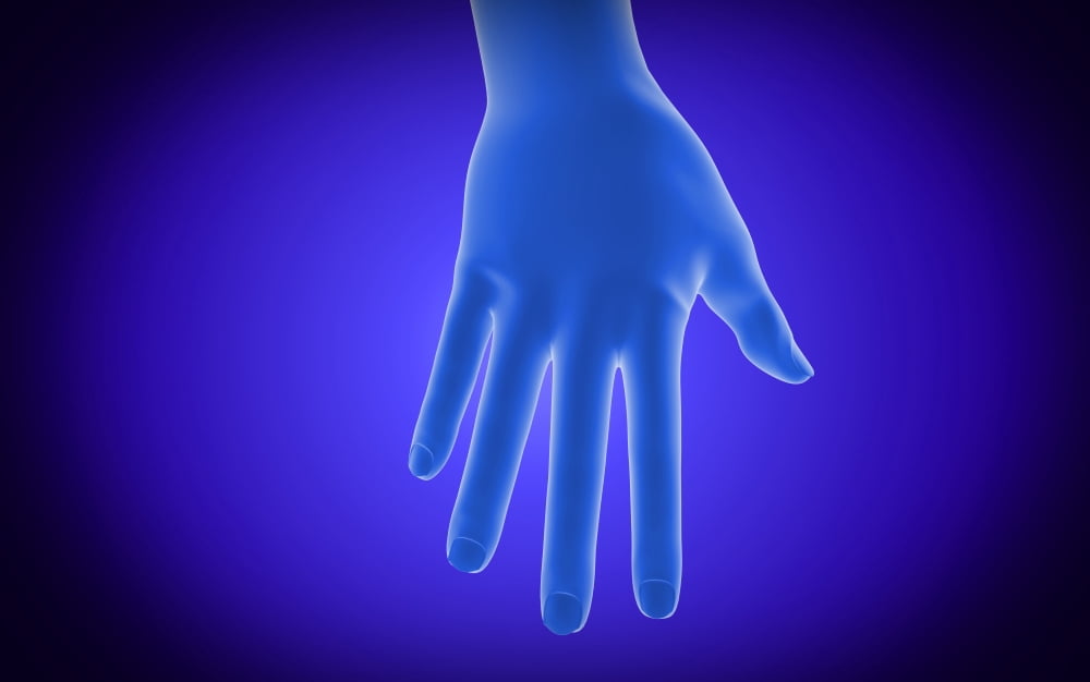 X-ray view of human hand Canvas Art - Stocktrek Images (36 x 23)