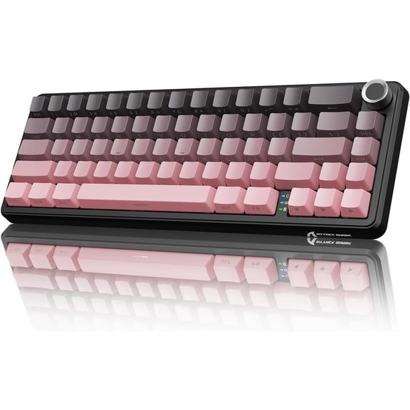 X66  Mechanical Gaming Keyboard with Knob,Tri Mode USB-C/BT5.0/2.4G Gasket Mounted 60% RGB Gaming Keyboard,Side Printed PBT Keycap, Hot Swappable Strawberry (BlackBerry)