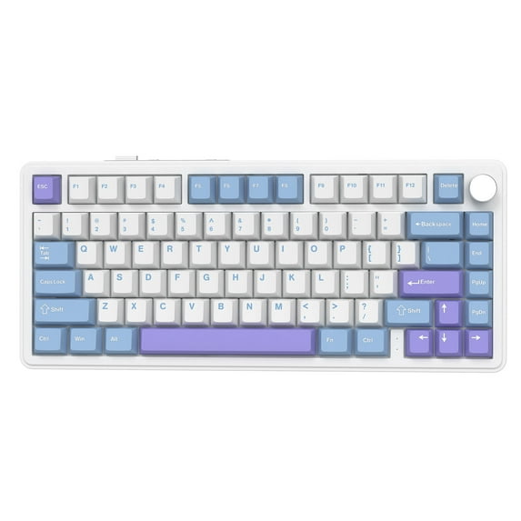 X85 Wireless Mechanical Keyboard, TKL 82 Keys Bluetooth 5.0/2.4GHz/USB-C Hot Swappable Custon Keyboard, Knob Control, Gasket Structure, RGB Backlit Gaming Keyboard for PC/Mac/PS4/Xbox (Purple)