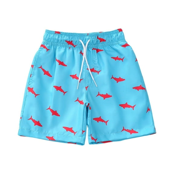 XADYUY Boys Swim Trunks 14-16 Quick Dry Beach Shorts Kids Cute Shark Print Boys Bathing Suits Size 10-12 Summer Casual Athletic Teen Boys Swim Trunks,5-6 Years Sky Blue